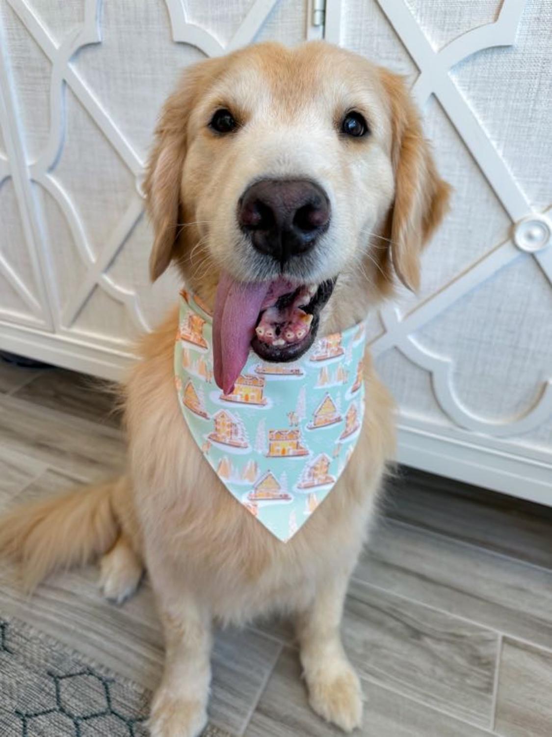 Scandinavian Village Bandana