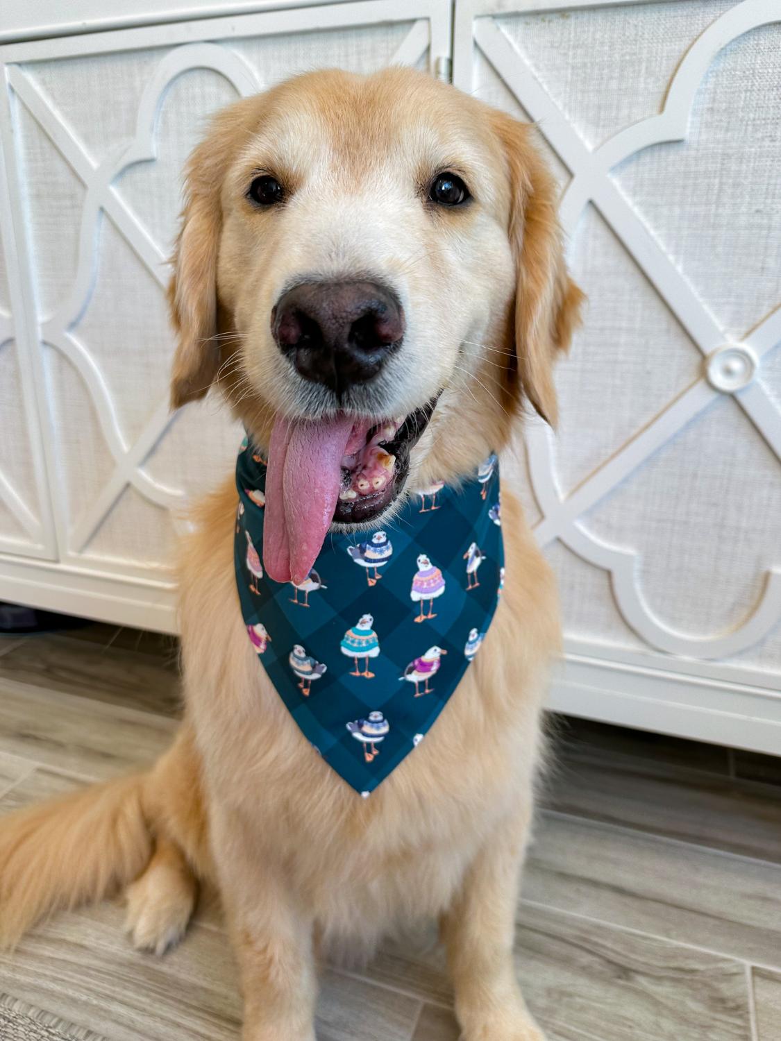 Seagulls in Sweaters Bandana