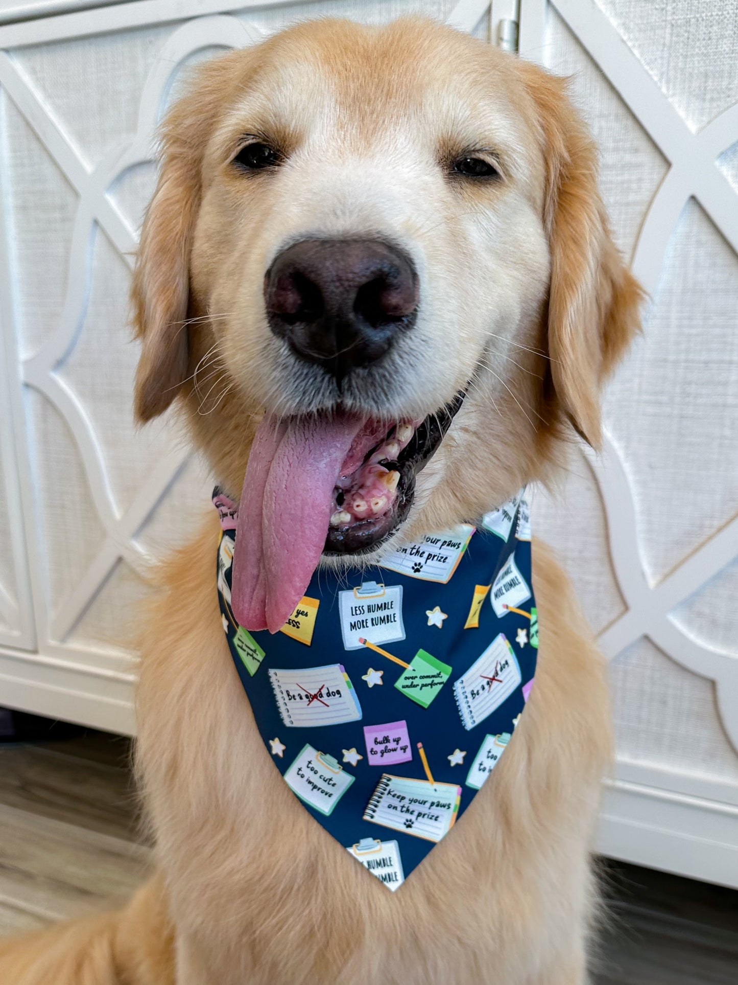 New Year's Resolutions Bandana