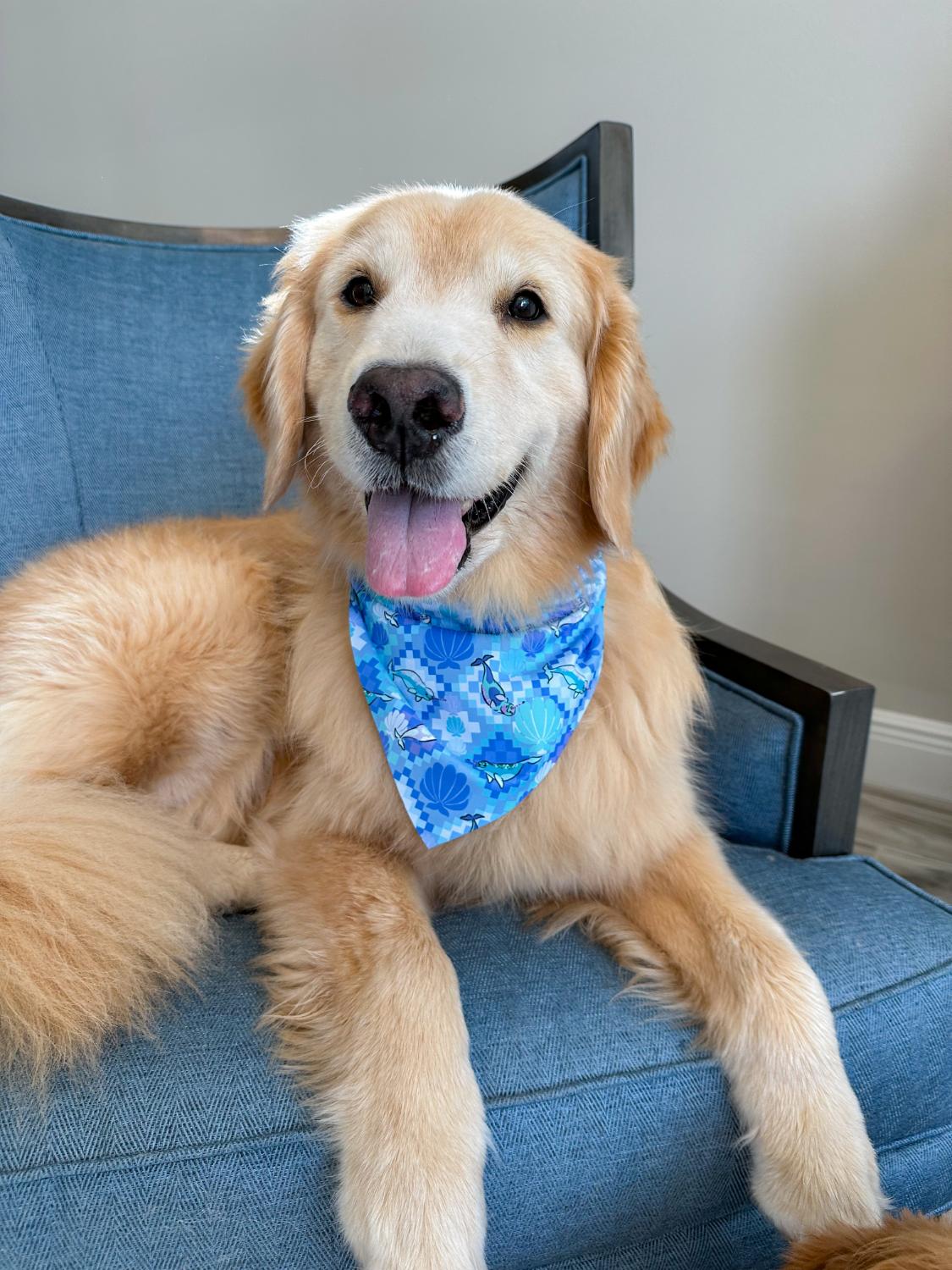 Hygge Quilts Bandana