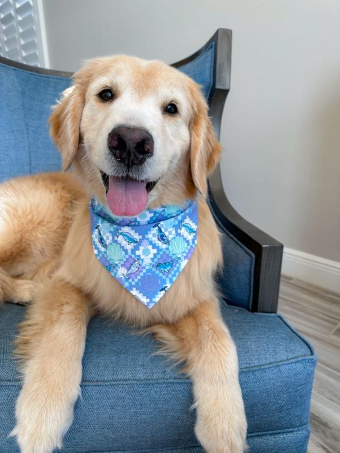 Hygge Quilts Bandana