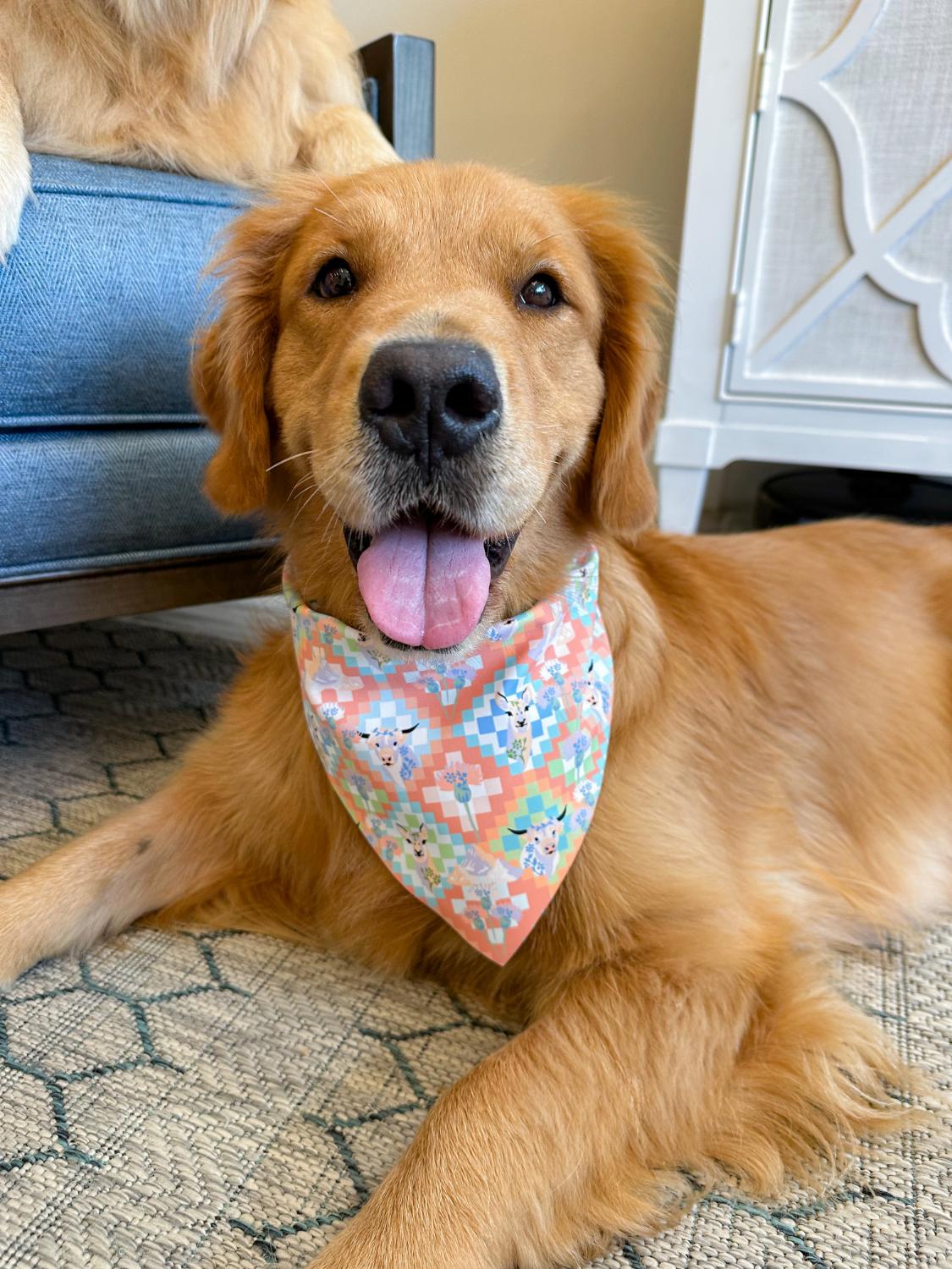 Hygge Quilts Bandana