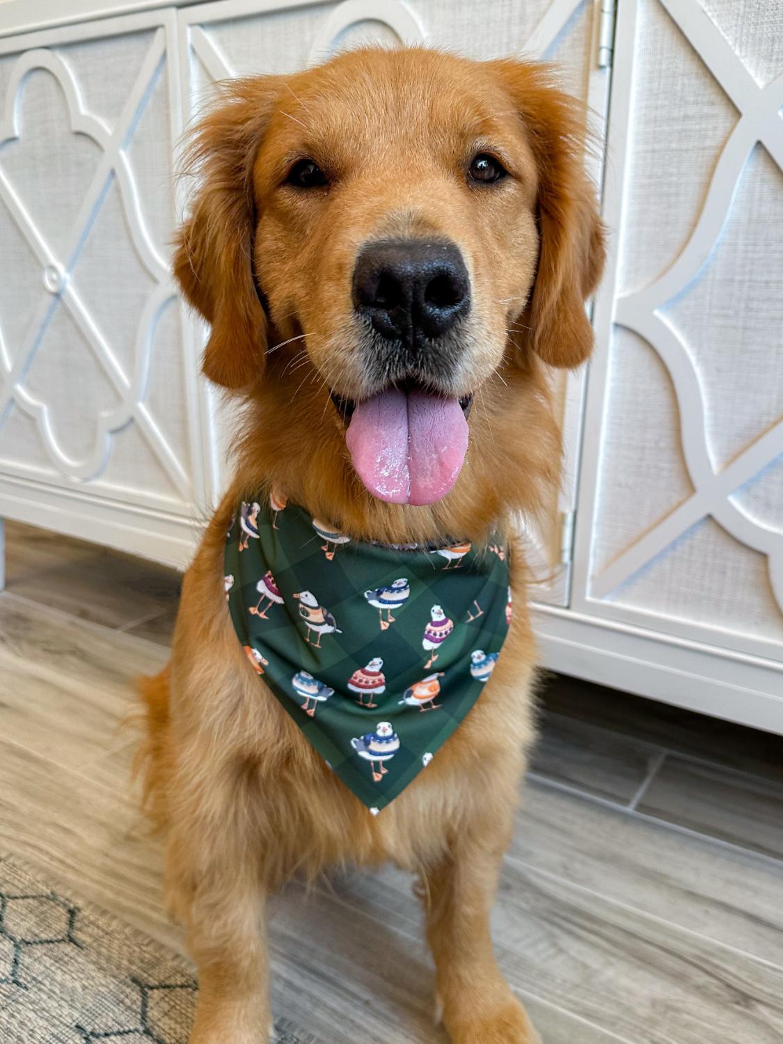 Seagulls in Sweaters Bandana