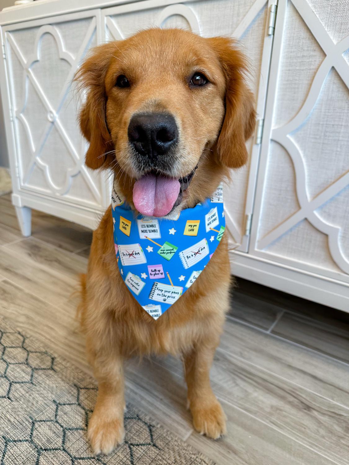 New Year's Resolutions Bandana
