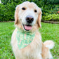 Boots Made For Walkies Bandana