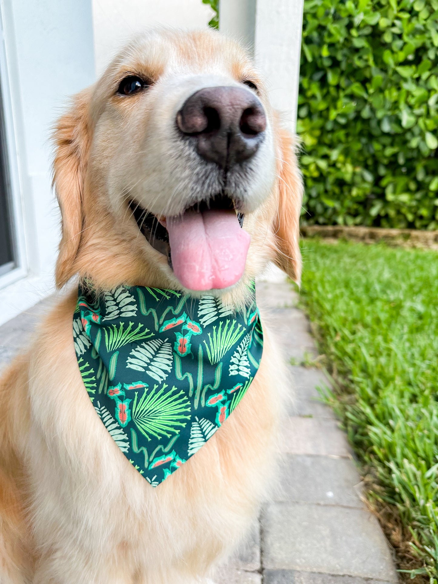 Aquatic Plants Bandana