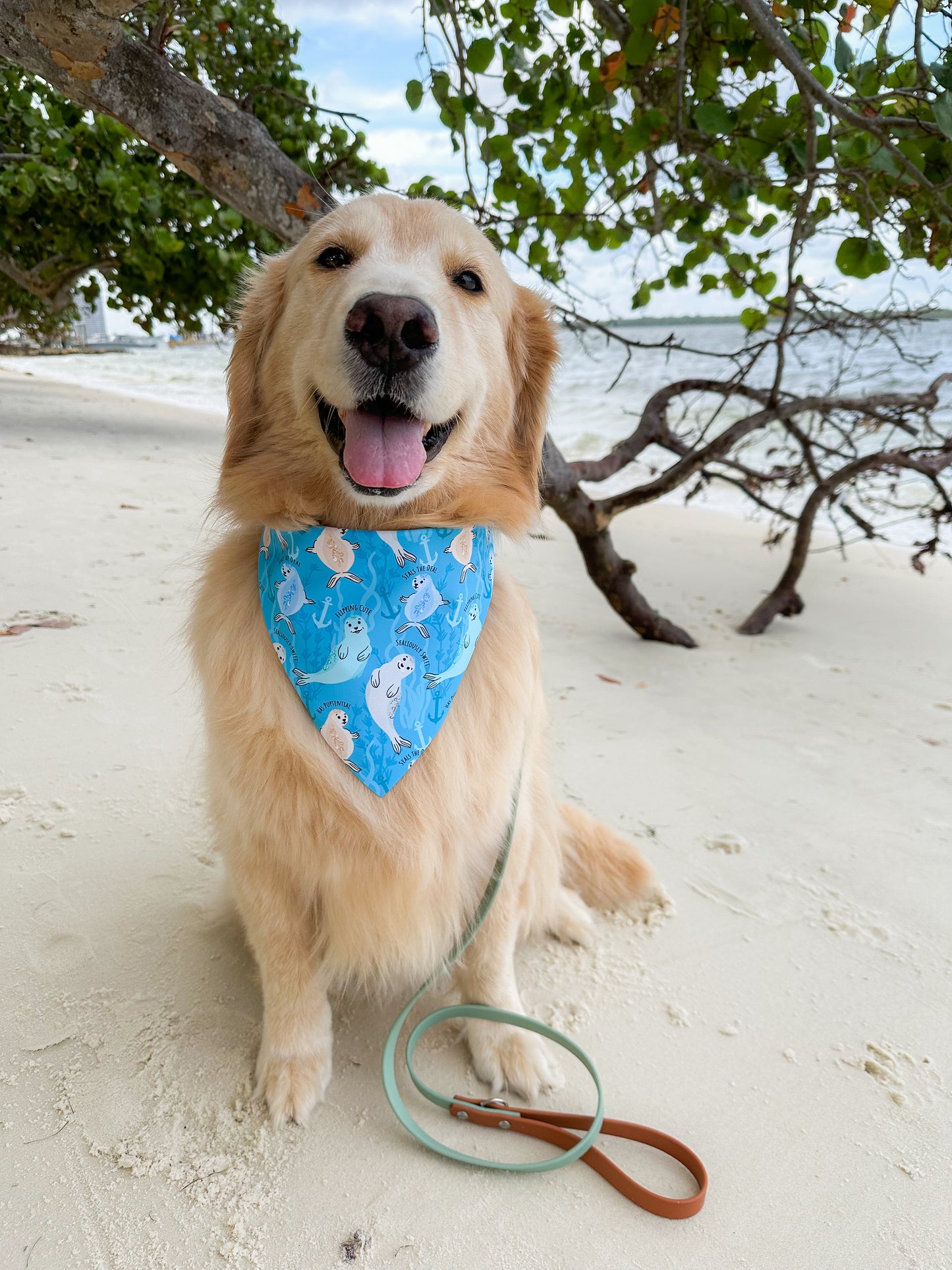 Seals of Approval Bandana