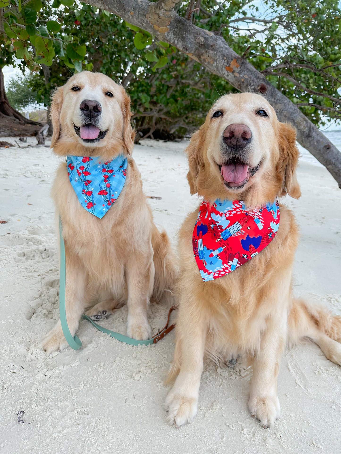 Red, White, and Blue-tiful Poppies Bandana
