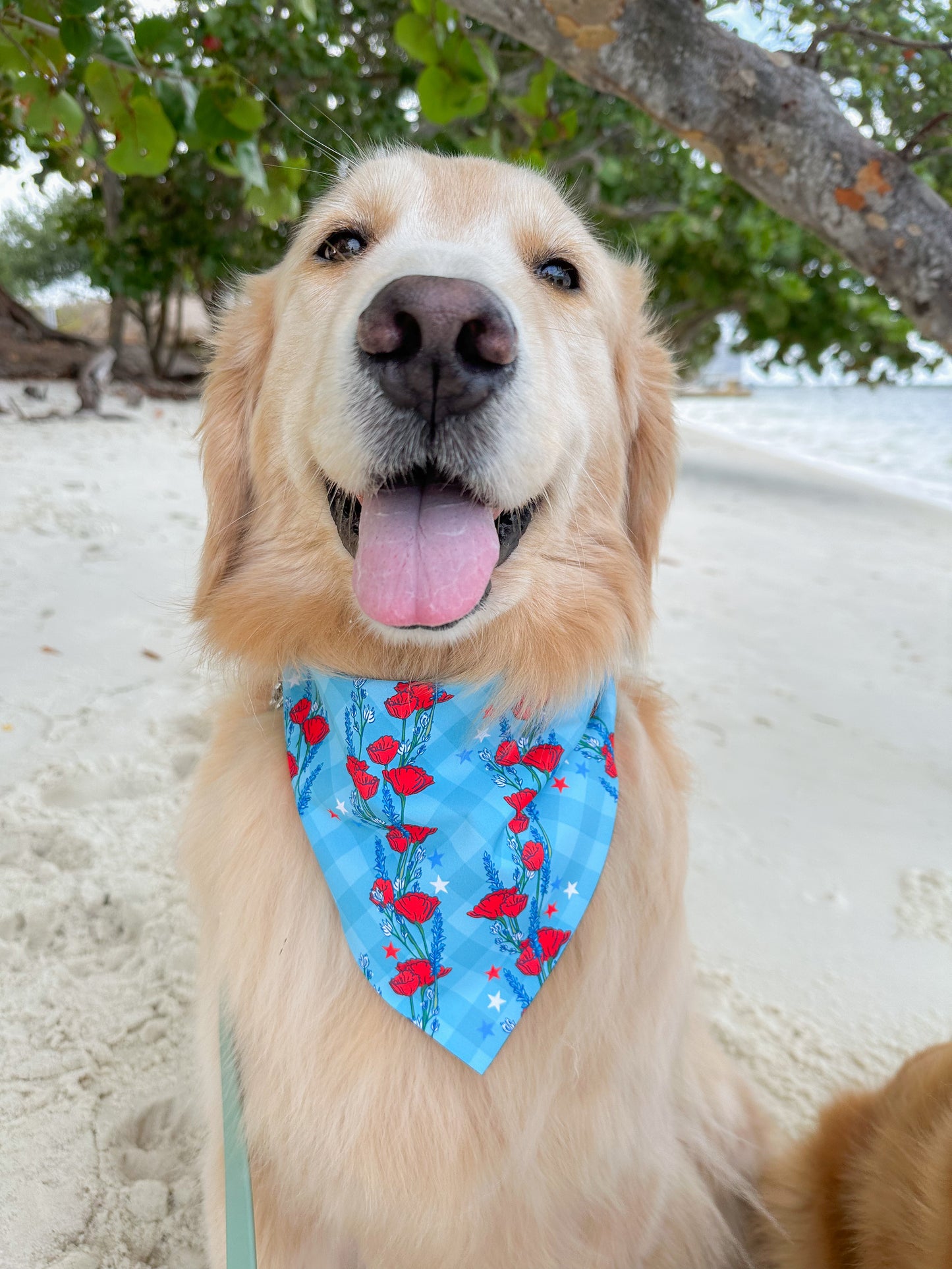 Red, White, and Blue-tiful Poppies Bandana