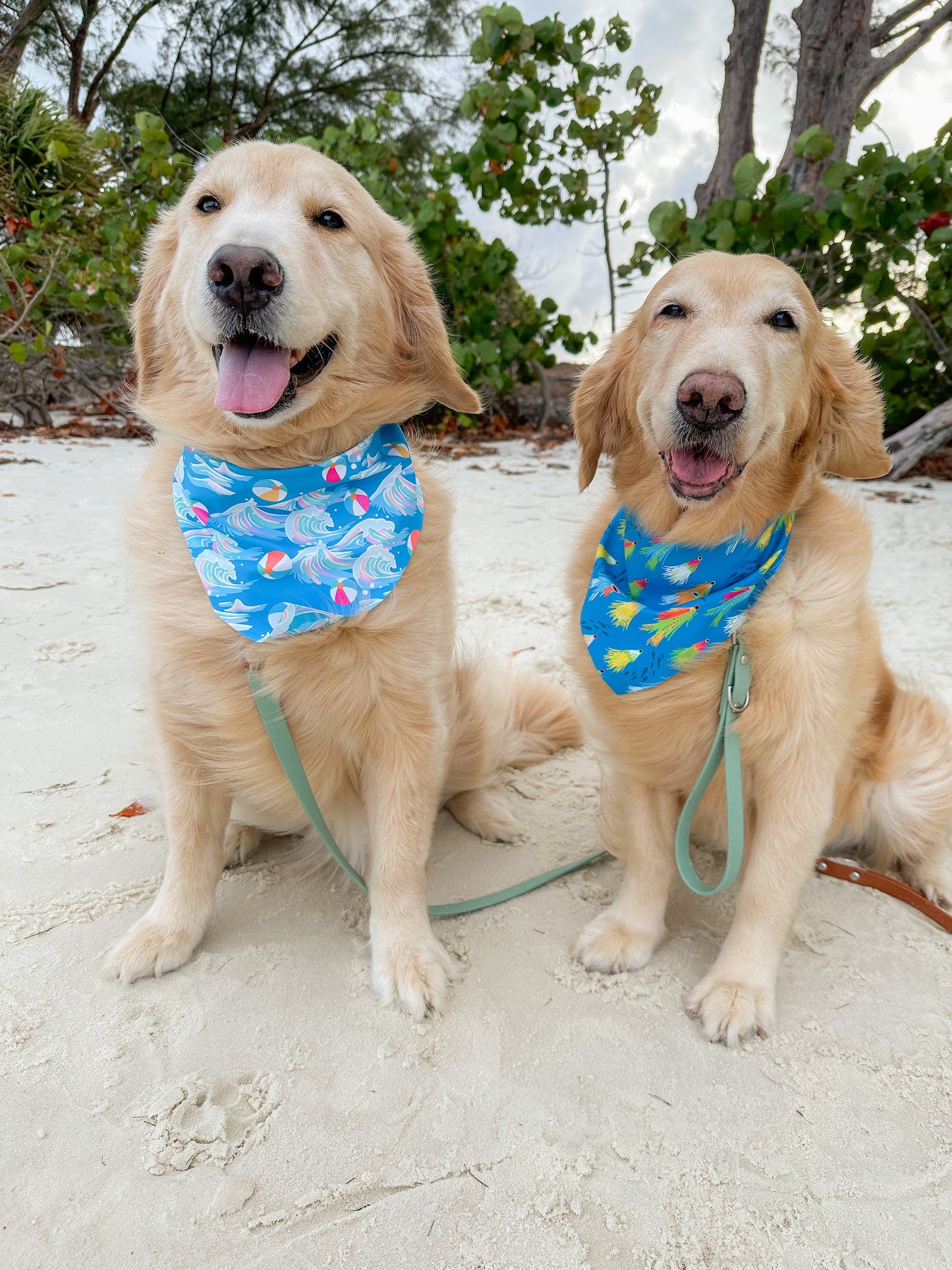 Allure of the Seas Bandana