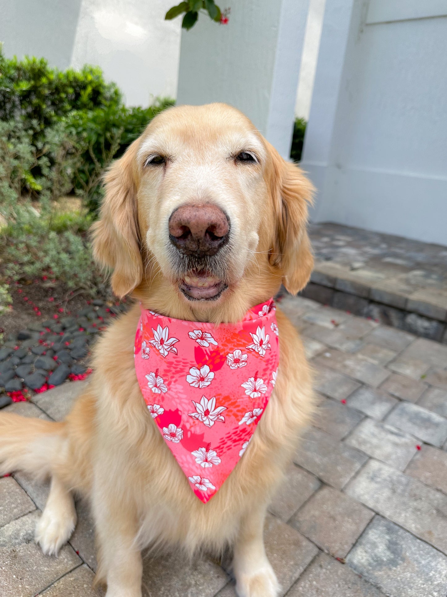 Hot House Blooms Bandana