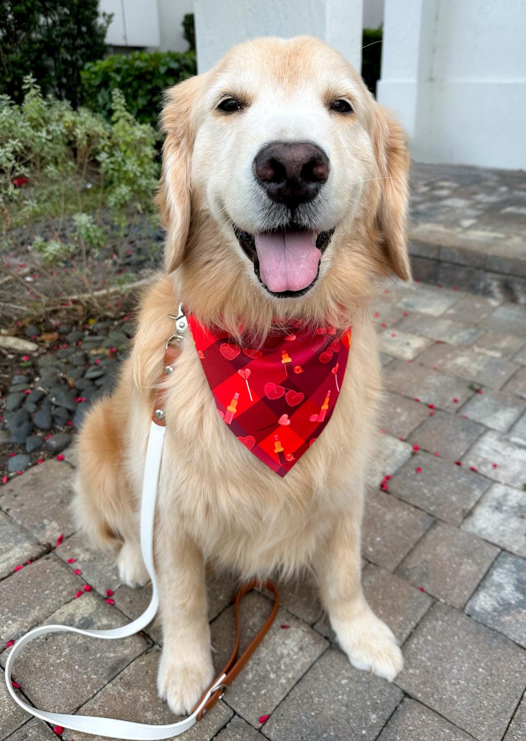 Girl Boss Valentines Bandana
