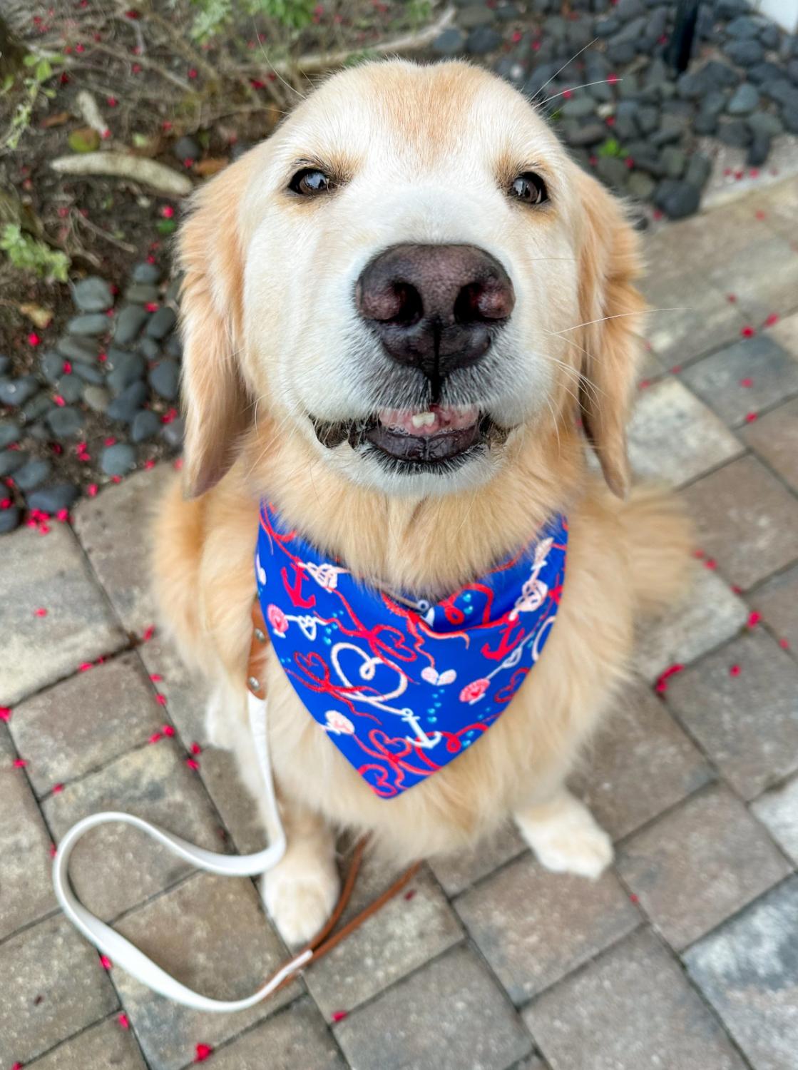 Nautical Valentines Bandana