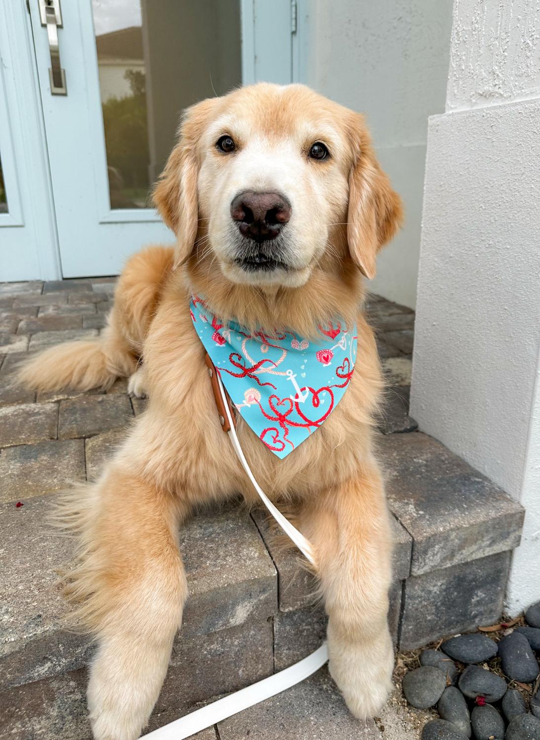 Nautical Valentines Bandana