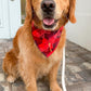 Valentines Gift Bandana