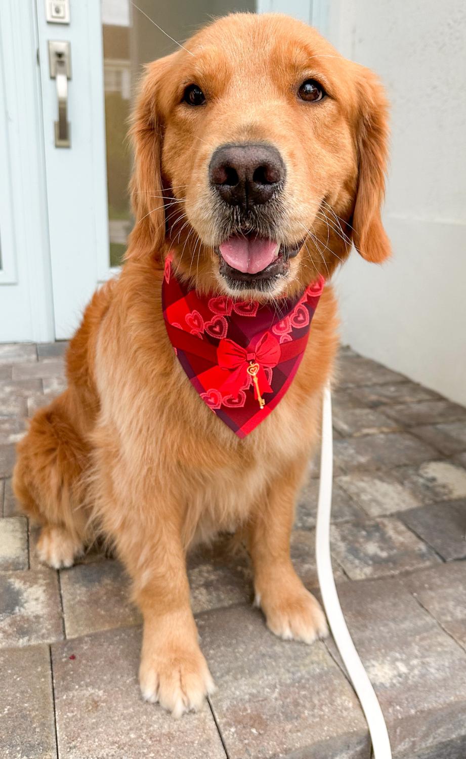 Valentines Gift Bandana