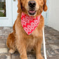 Valentines Gift Bandana