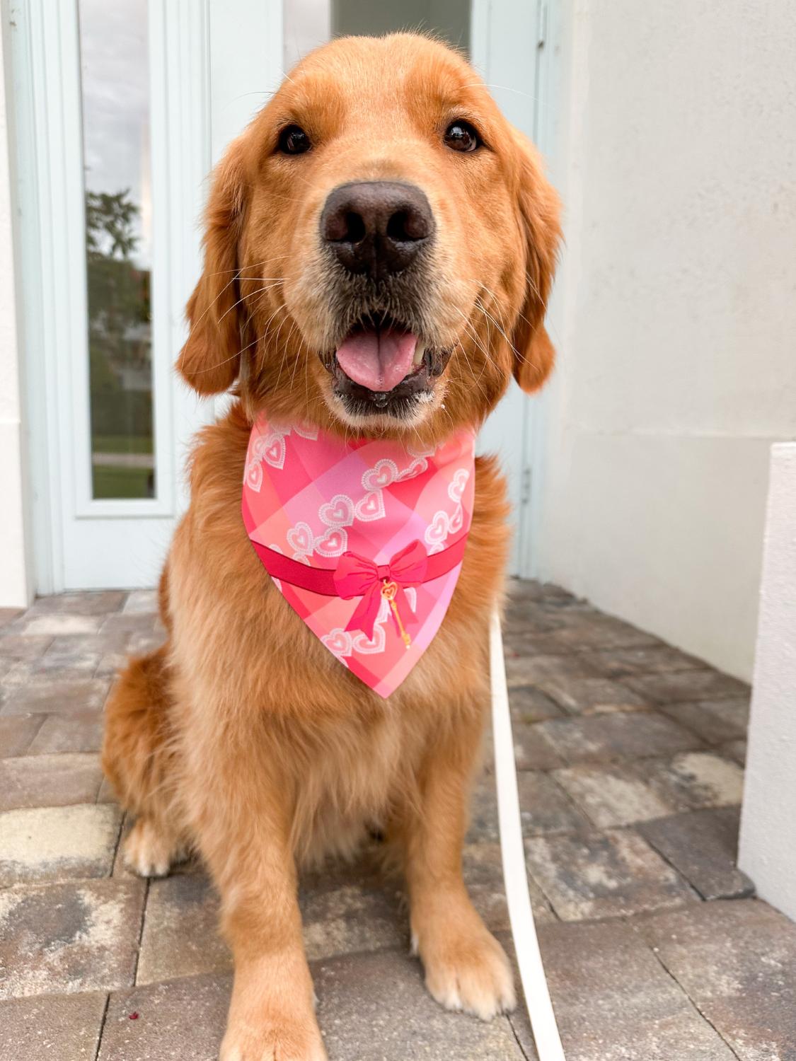 Valentines Gift Bandana