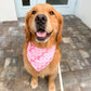Valentines Gift Bandana