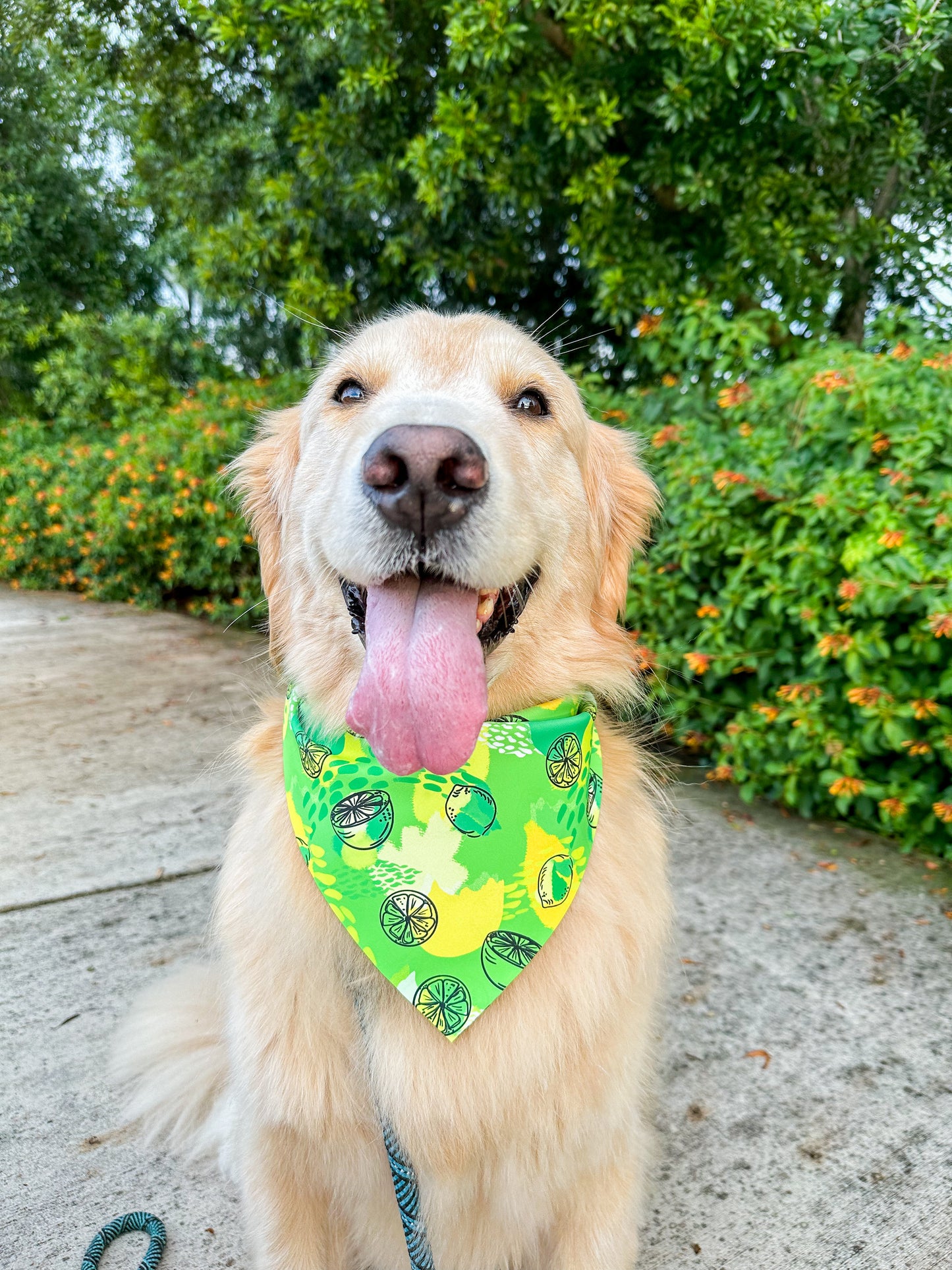 Basic Lemon Lime Bandana