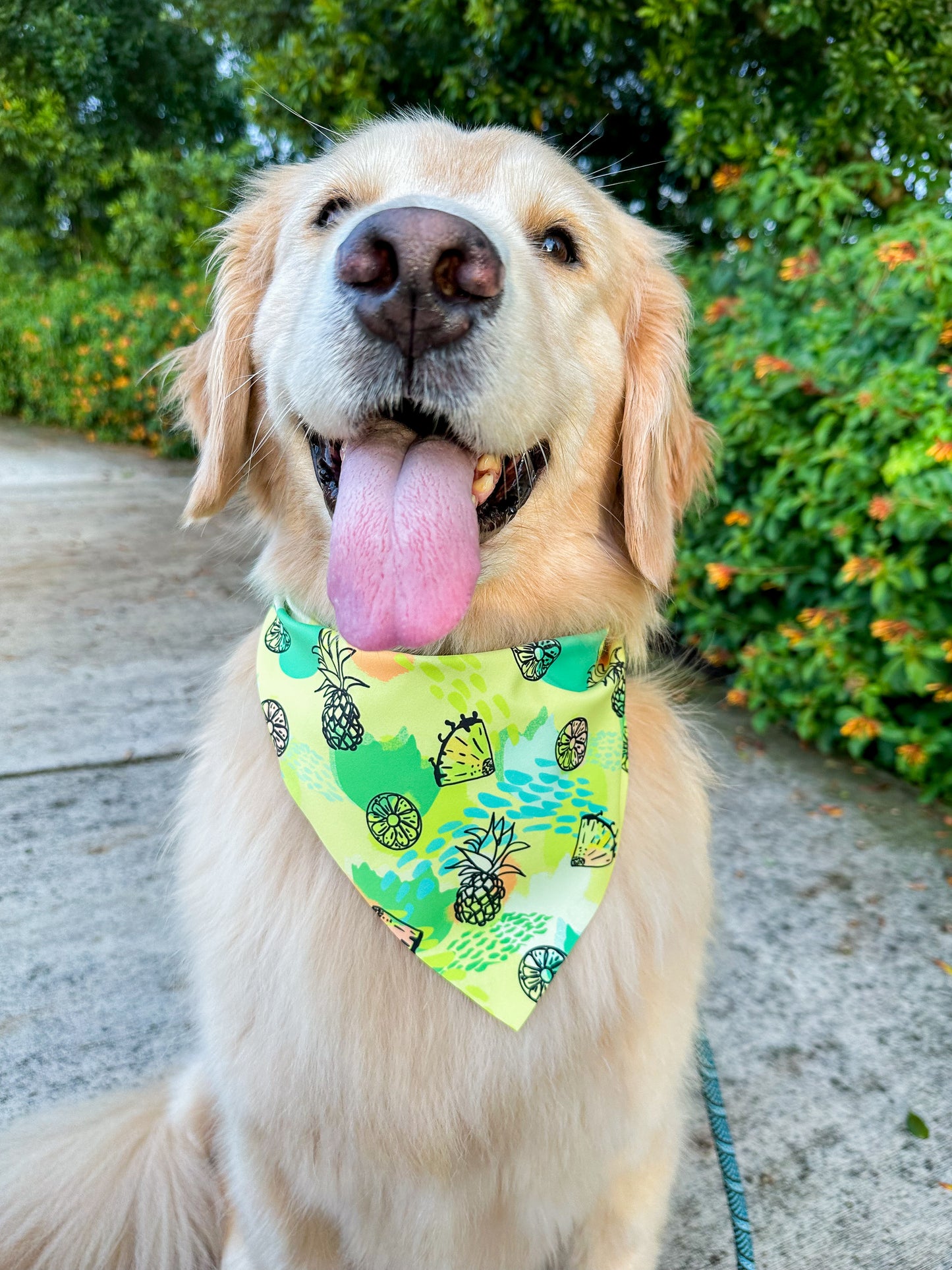 Basic Pineapple Bandana