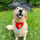 Kentucky Derby Bandana