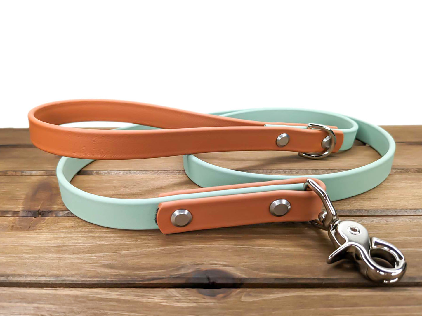 Biothane Leash