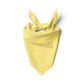 Beach Day Accoutrements Bandana