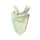 Beach Day Accoutrements Bandana