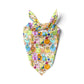 Ducks in a Row Bandana