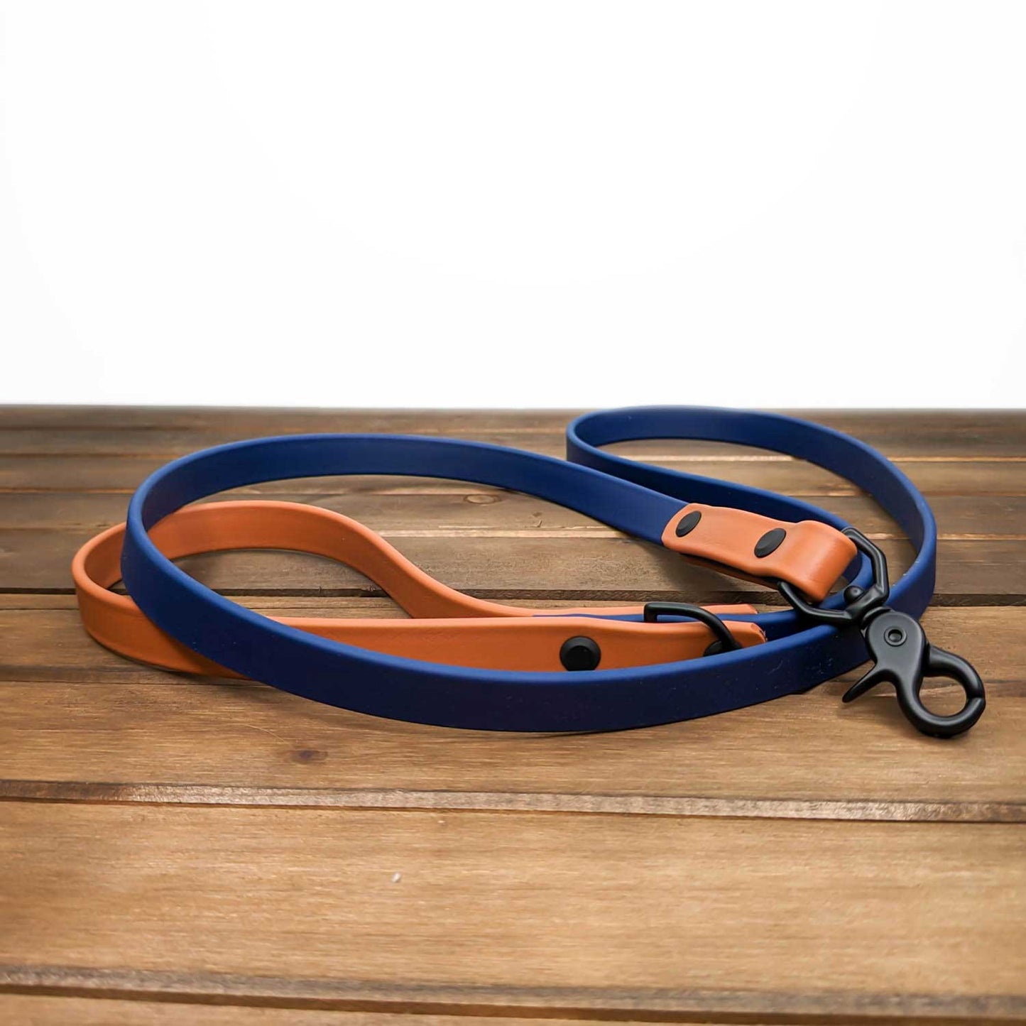 Biothane Leash