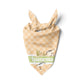 Sandpipers Bandana