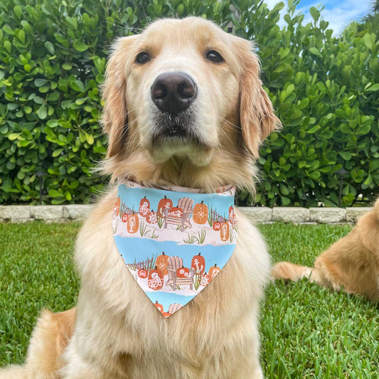 Beachy Pumpkins - Clearance