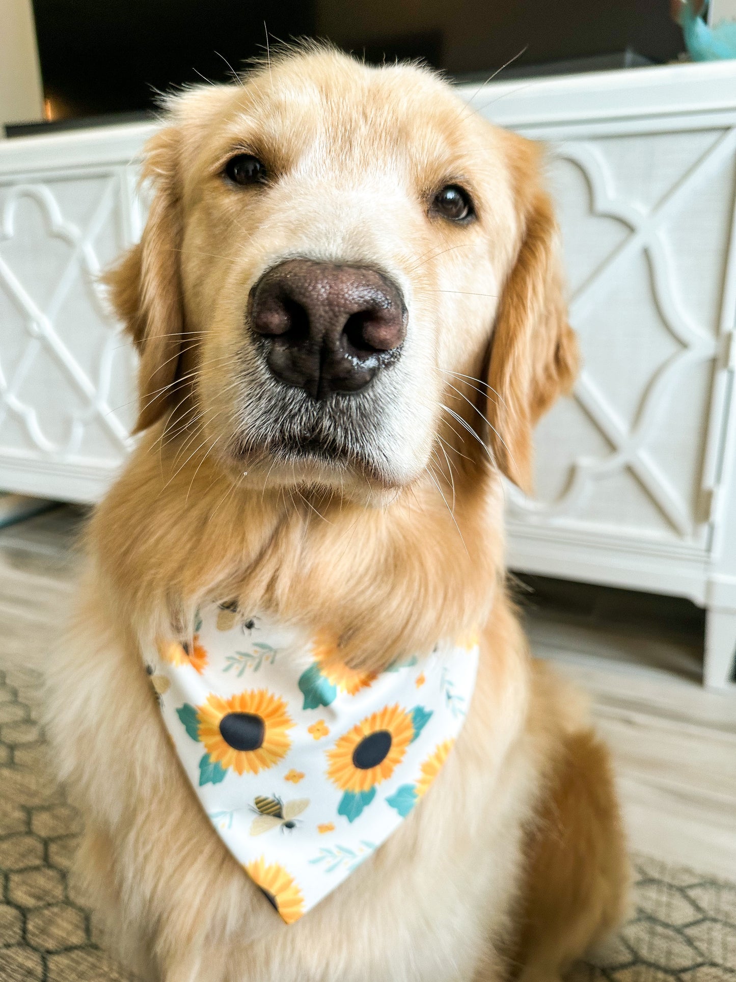 Buzzing Bees Bandana