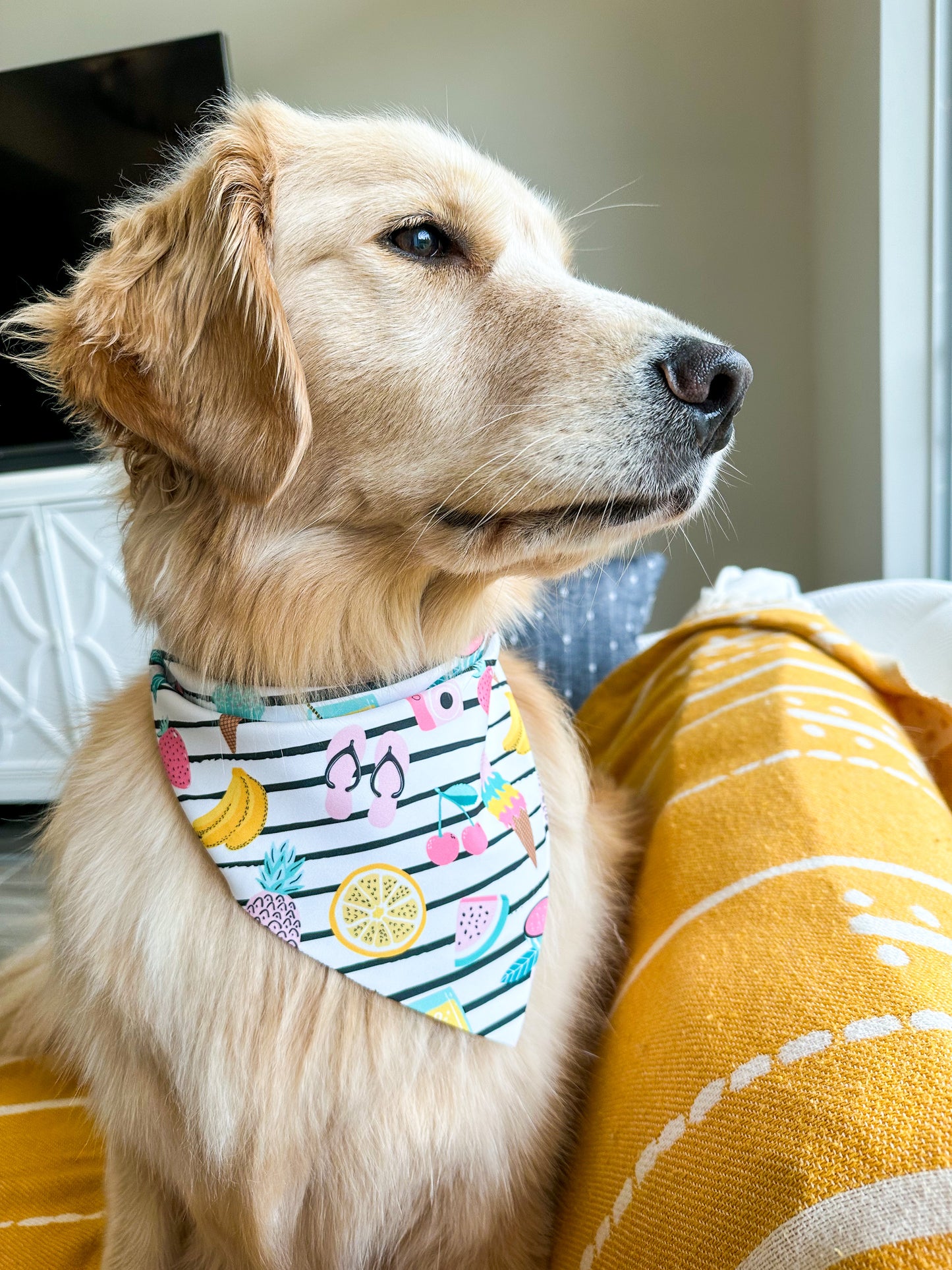 Summer Vibes Bandana