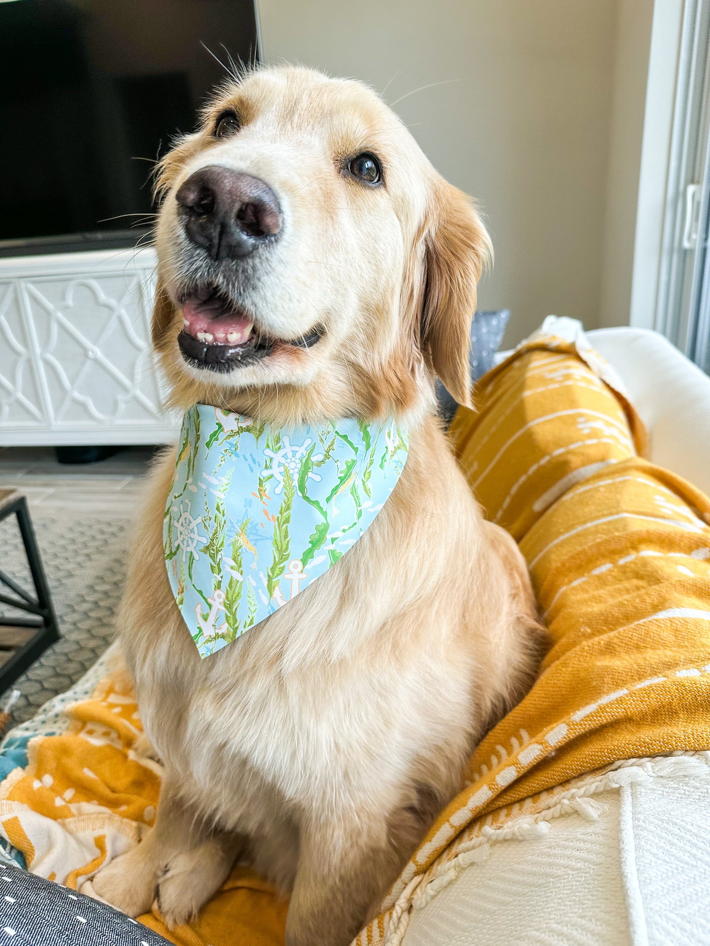 Briny Life Bandana