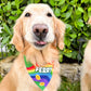 St. Patty's Rainbow Bandana