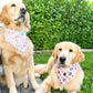 Striped Eggs Bandana