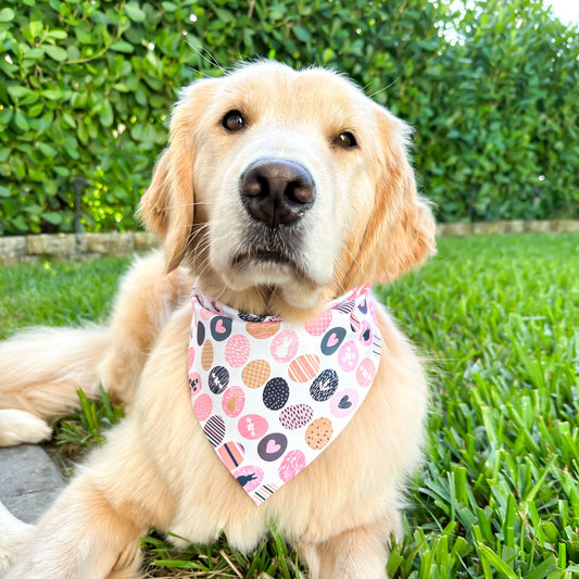 Striped Eggs Bandana