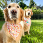 Strawberry Floral Bandana