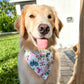 Spring Butterflies Bandana