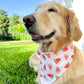 Watermelon Wedges Bandana