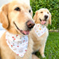Flowers and Rabbits Bandana