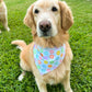 Sunny Disposition Bandana