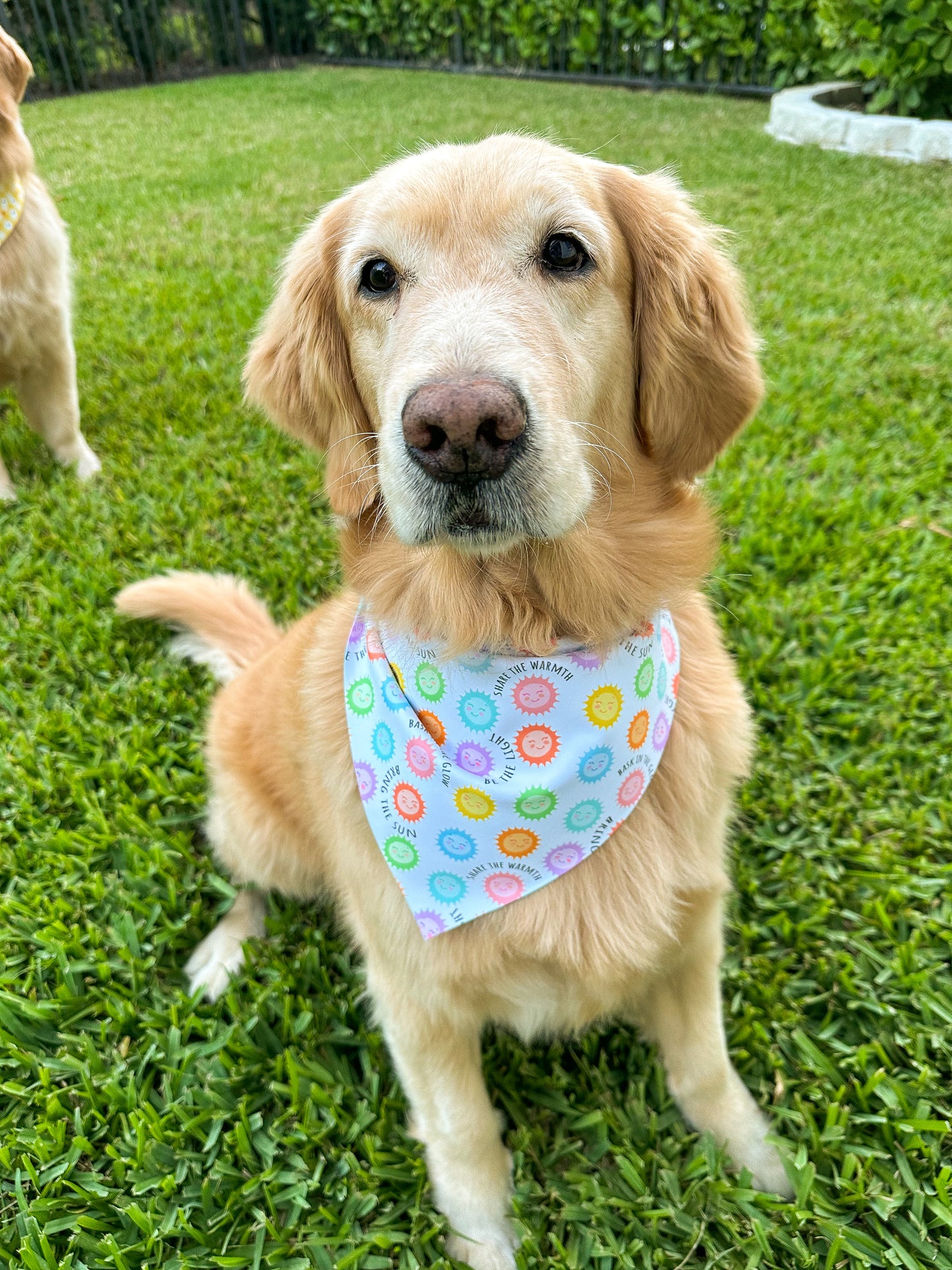 Sunny Disposition Bandana