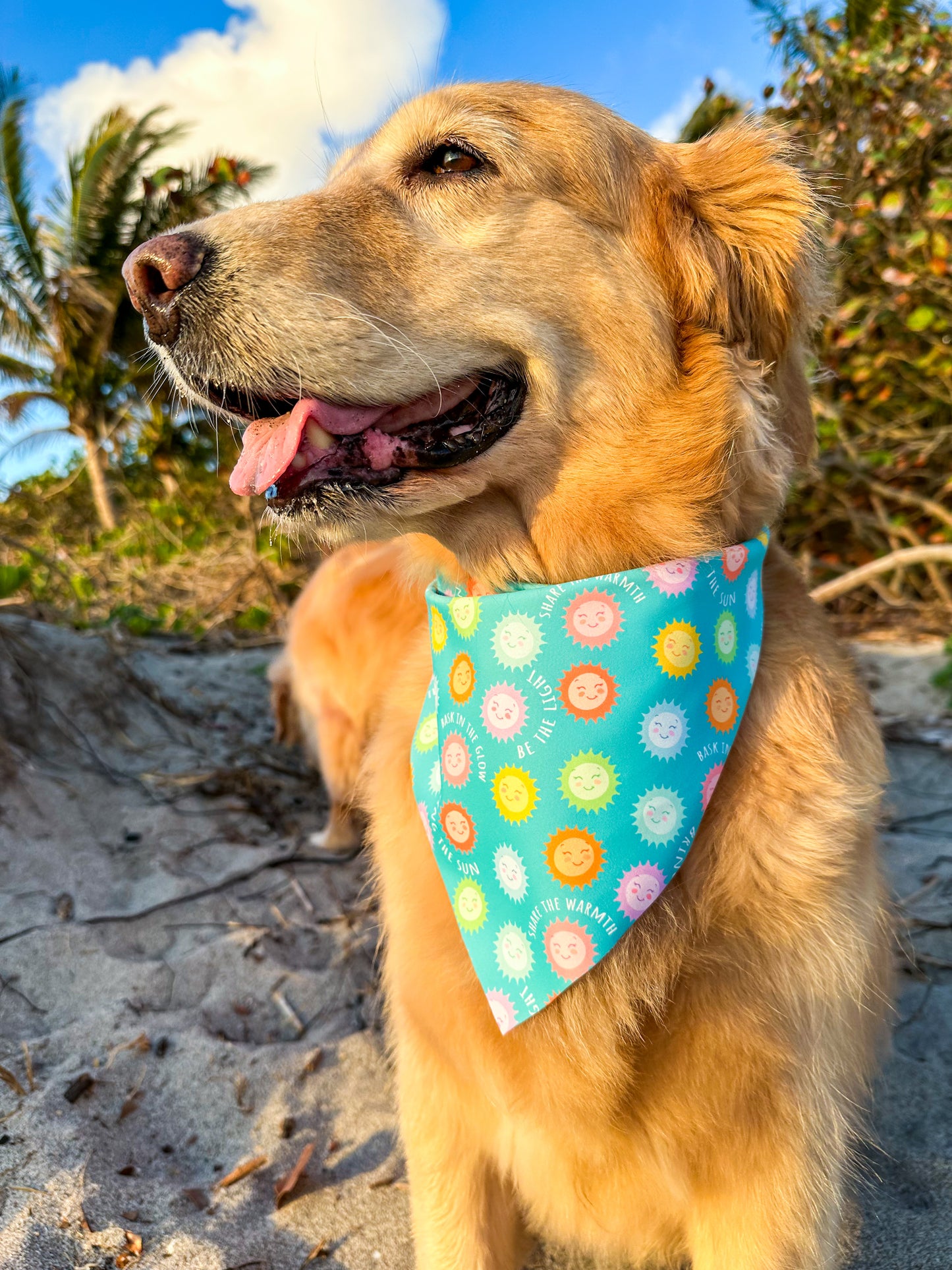 Sunny Disposition Bandana