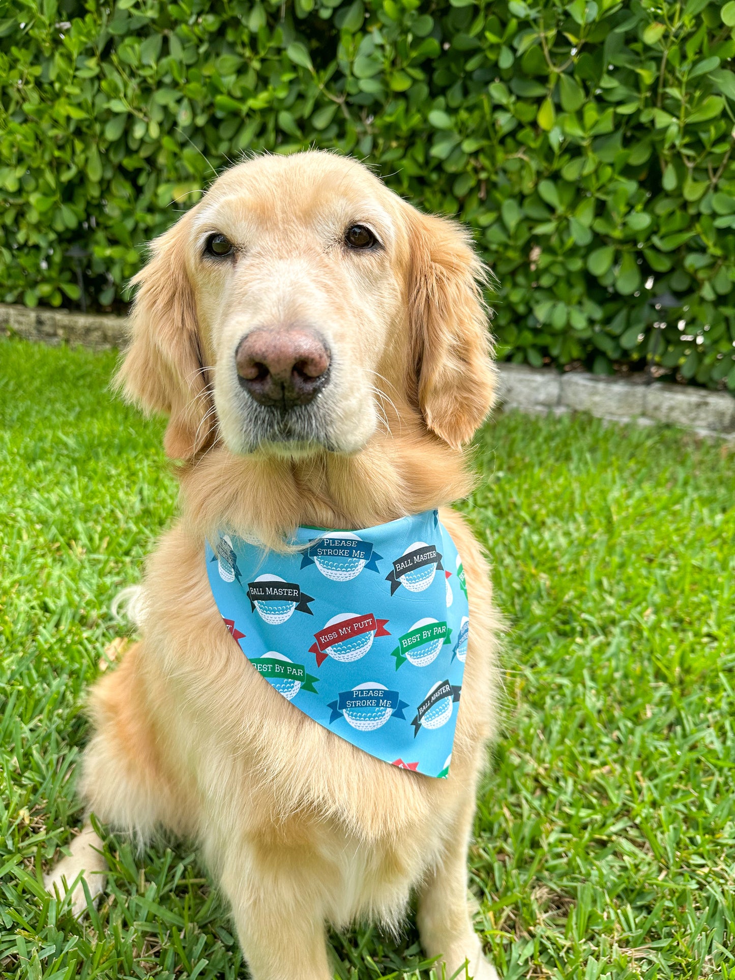 Golf Puns and Doggie Fun Bandana