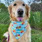 Rub my Cinnabun Bandana
