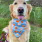 Rub my Cinnabun Bandana