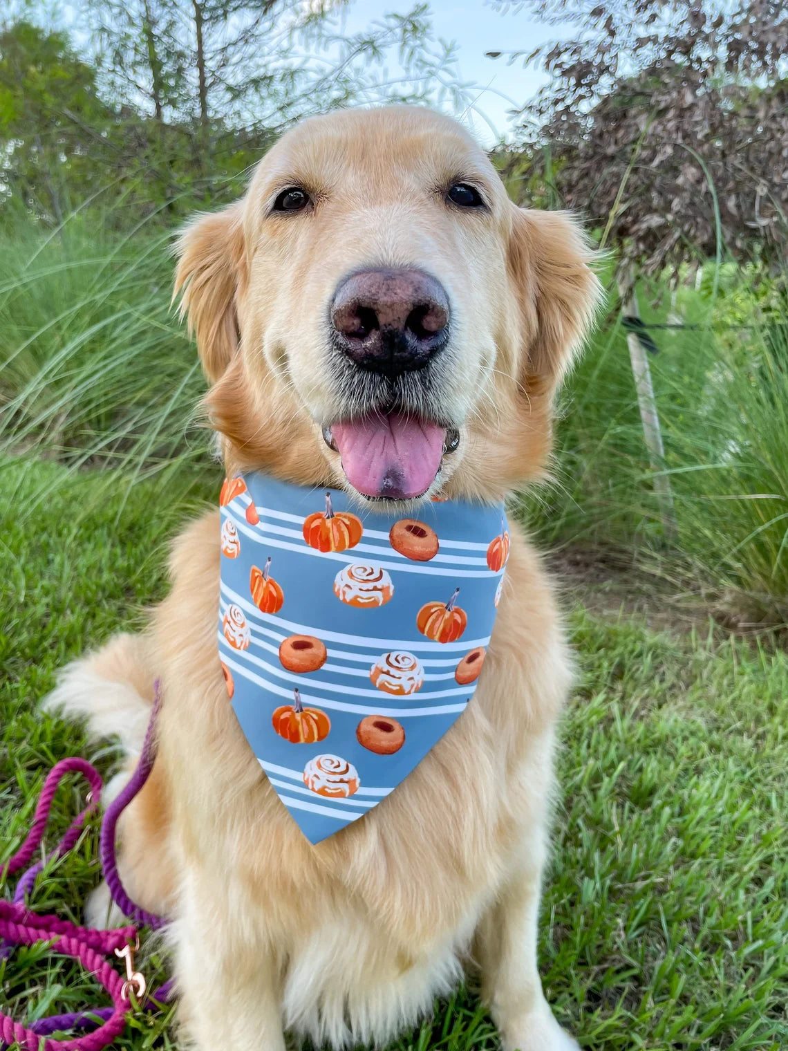 Rub my Cinnabun Bandana